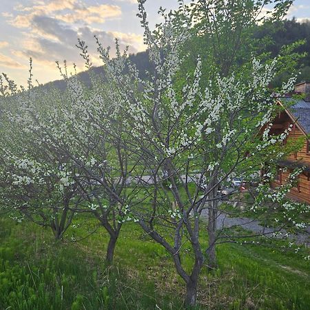 Bed and Breakfast Le Repaire Viking Sainte-Rose-du-Nord Exteriér fotografie